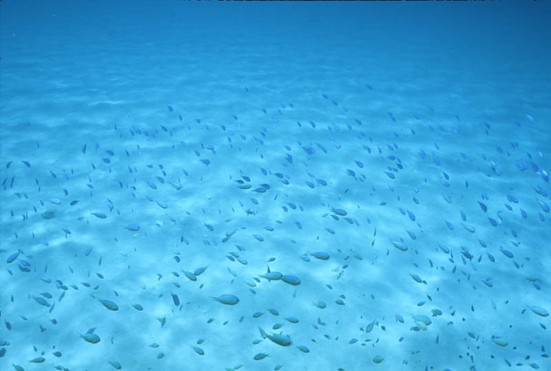 b0042837_19165585.jpg