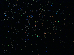 e0005548_1505836.gif