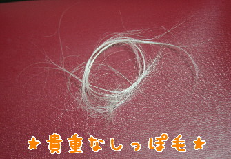 d0013149_0282818.jpg