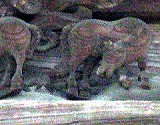 d0031853_1103656.jpg