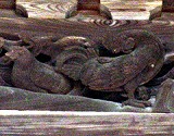 d0031853_1113242.jpg