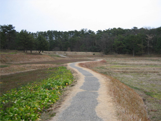 d0031853_1225158.jpg