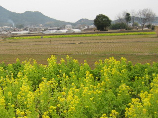 d0031853_1271953.jpg