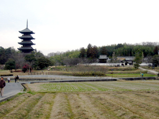 d0031853_134153.jpg