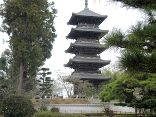 d0031853_171513.jpg