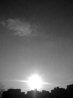 f0100480_8281423.jpg