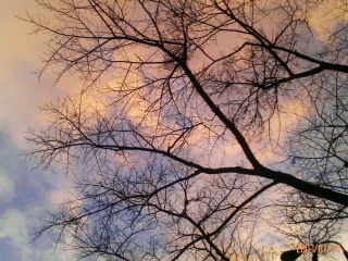 c0082785_2251213.jpg