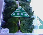 f0125585_923467.jpg