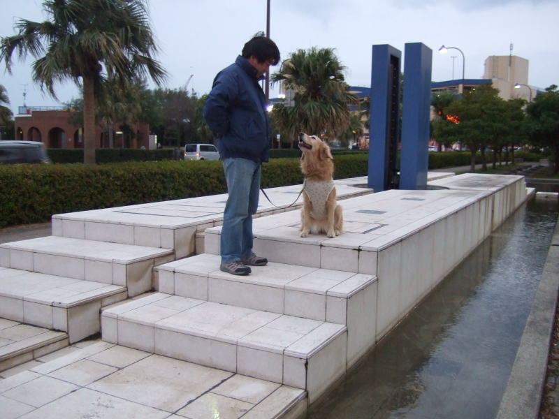 c0104492_954636.jpg
