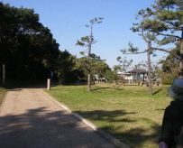 c0008598_1765079.jpg