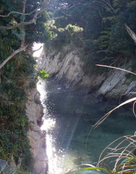 c0008598_1785411.jpg