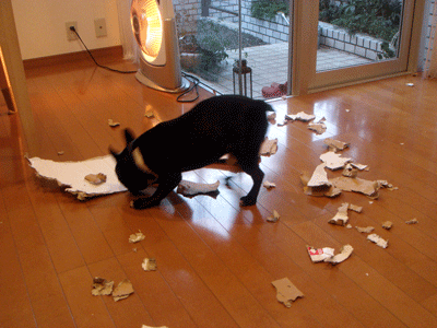 e0112098_0584389.gif