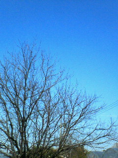 c0065309_319223.jpg
