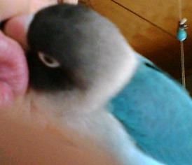 f0126418_15371310.jpg