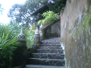 d0038319_10522724.gif