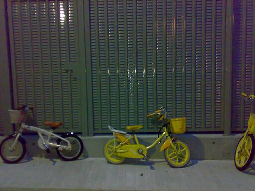 a0042120_1105042.jpg