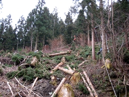 e0002820_2114278.jpg