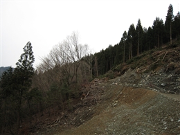 e0002820_217875.jpg
