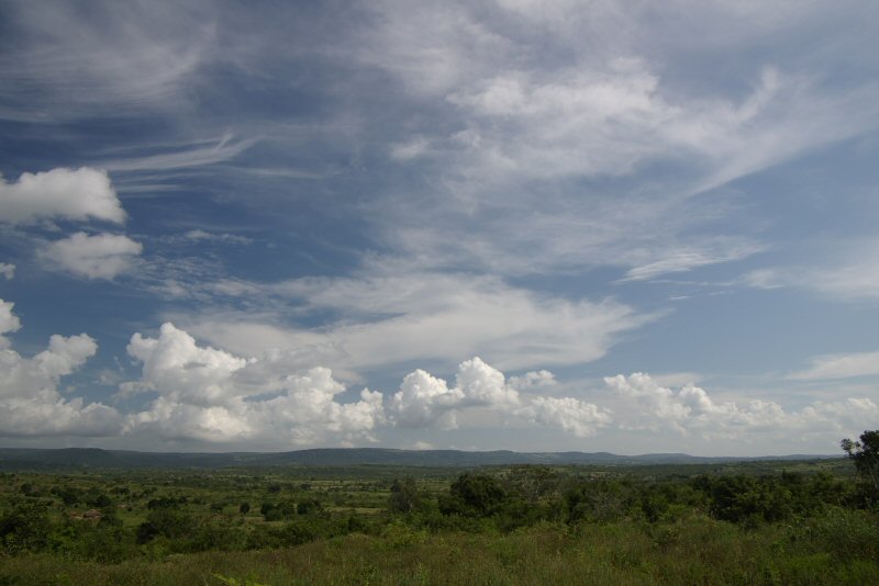 d0032931_2152761.jpg