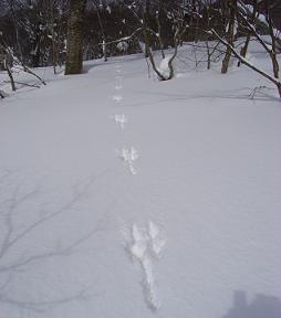f0118332_2371614.jpg