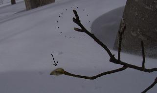 f0118332_237299.jpg