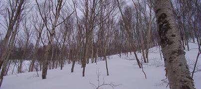 f0118332_2373371.jpg