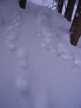 f0118332_2374710.jpg