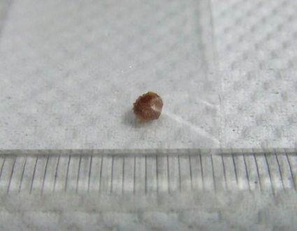 e0096346_17261161.jpg
