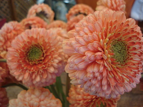f0041850_16393035.jpg