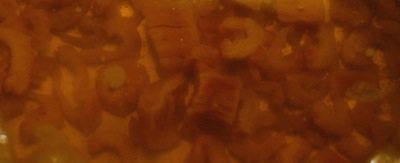 d0047851_4261566.jpg