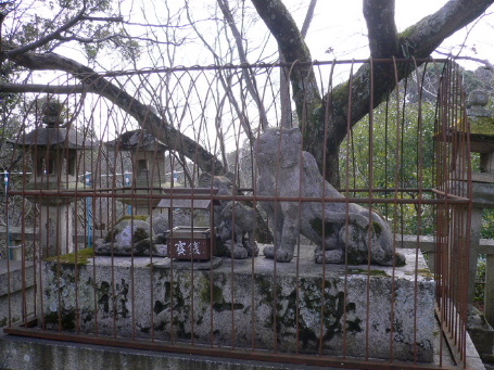 a0063364_2033728.jpg