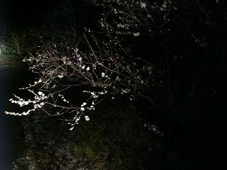 c0011169_17394657.jpg