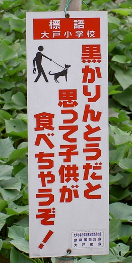 f0068970_23281943.jpg