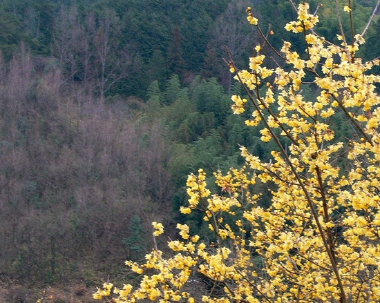 e0037577_2246430.jpg