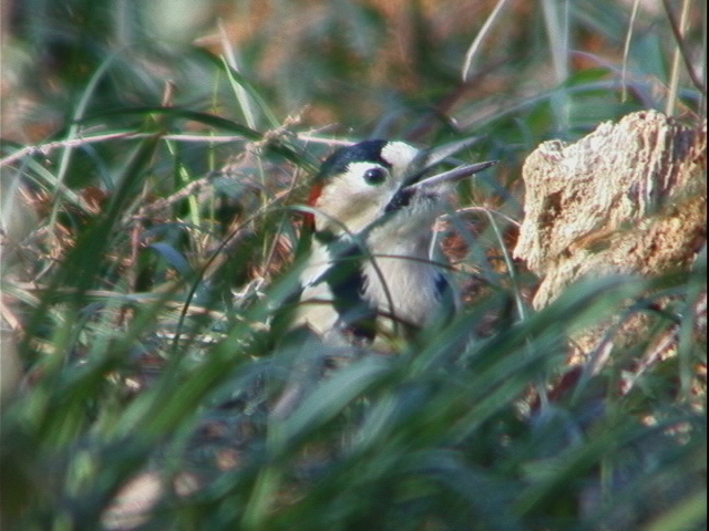 d0020180_22363243.jpg