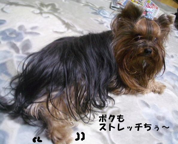 c0031582_203319100.jpg