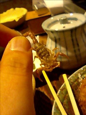 c0070086_23141157.jpg