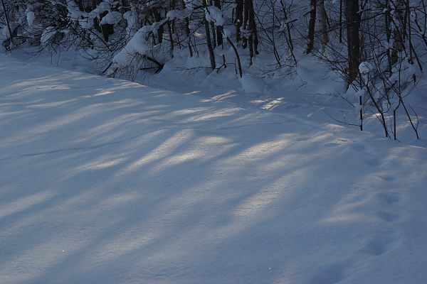 e0051186_20575314.jpg