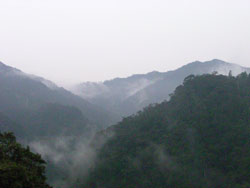e0066586_7423877.jpg