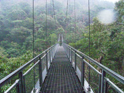 e0066586_7425934.jpg