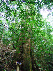 e0066586_743104.jpg
