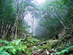 e0066586_74359.jpg