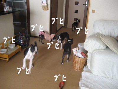 c0092787_17383556.jpg
