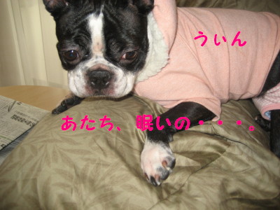 c0092787_17445988.jpg