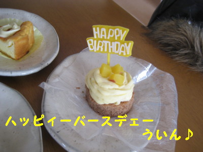 c0092787_17493731.jpg