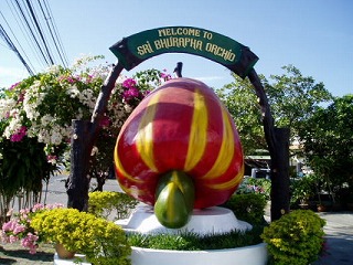 d0098388_18104595.jpg