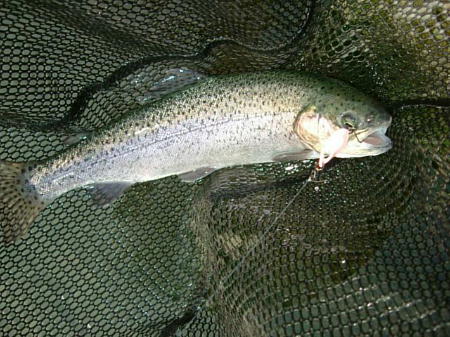 f0119889_2157134.jpg