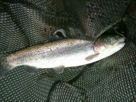 f0119889_21572533.jpg