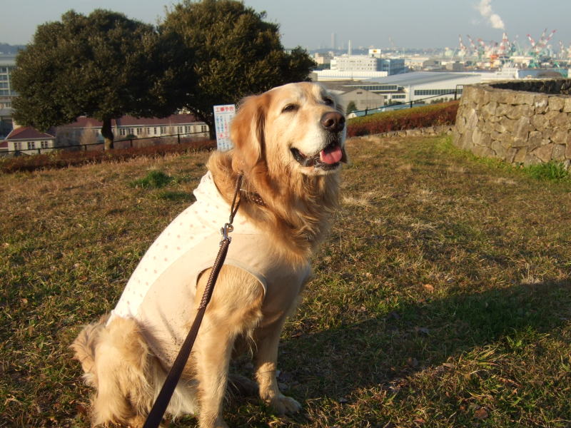 c0104492_0124737.jpg