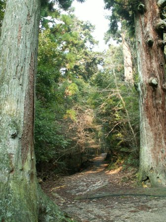 b0039898_175079.jpg